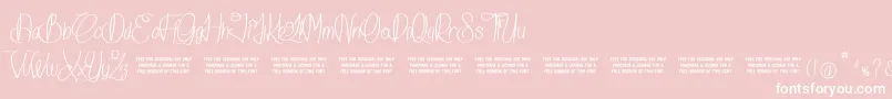 IslandOfDreams Font – White Fonts on Pink Background