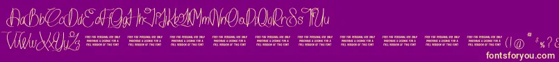 IslandOfDreams Font – Yellow Fonts on Purple Background