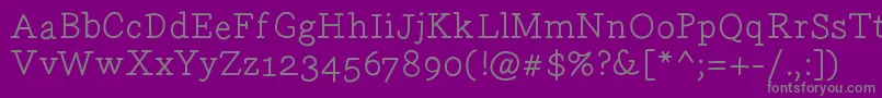 Шрифт Gecko09 – серые шрифты на фиолетовом фоне