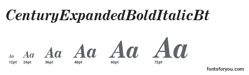 CenturyExpandedBoldItalicBt Font Sizes