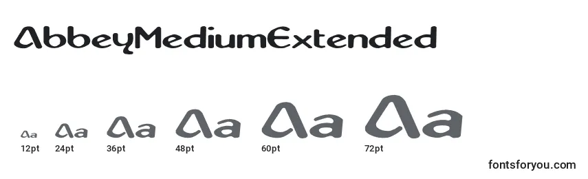 AbbeyMediumExtended Font Sizes