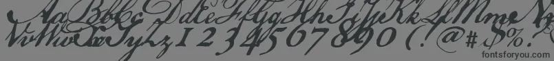 Usdeclaration-Schriftart – Schwarze Schriften auf grauem Hintergrund