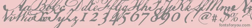 Usdeclaration Font – Gray Fonts on Pink Background