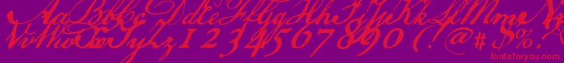 Usdeclaration Font – Red Fonts on Purple Background