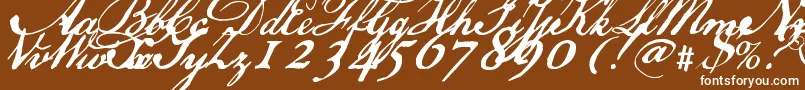 Usdeclaration Font – White Fonts on Brown Background