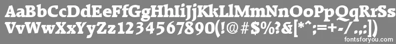 Czcionka RaleighExtrabold – białe czcionki na szarym tle