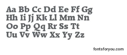 RaleighExtrabold Font