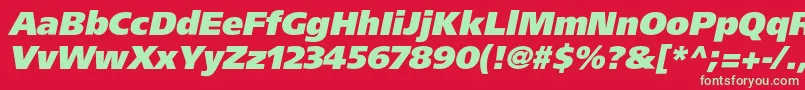 AgforeignerblackcItalic Font – Green Fonts on Red Background