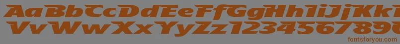 TheAeroplaneFliesHighHeavy Font – Brown Fonts on Gray Background