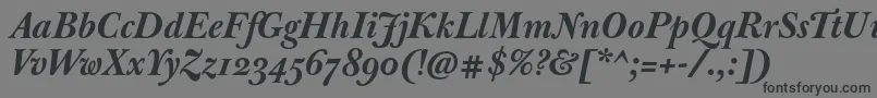 JbaskervillemedBolditalic-fontti – mustat fontit harmaalla taustalla