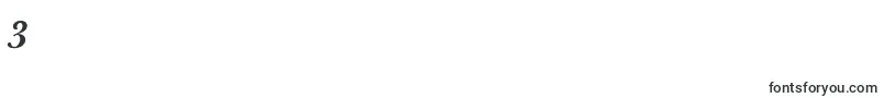 JbaskervillemedBolditalic Font – Fonts for Digit 3
