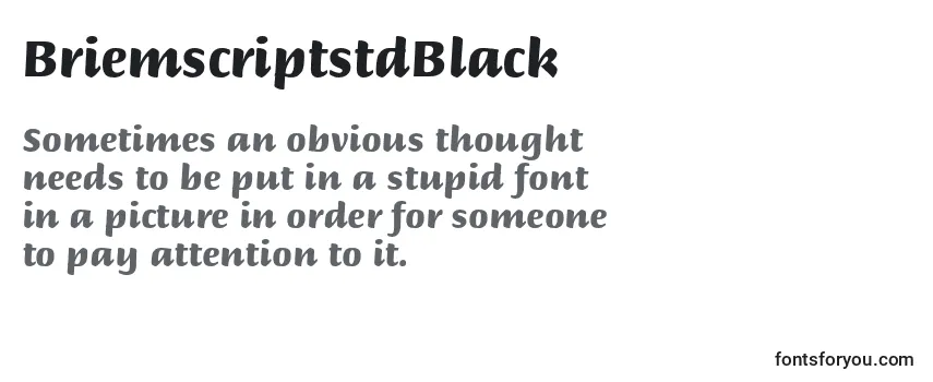 Review of the BriemscriptstdBlack Font