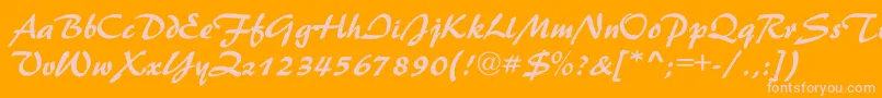 NestorBold Font – Pink Fonts on Orange Background