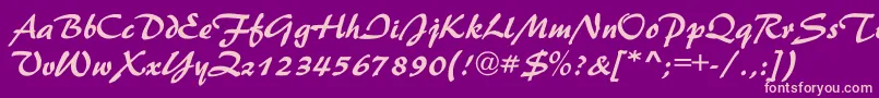 NestorBold Font – Pink Fonts on Purple Background