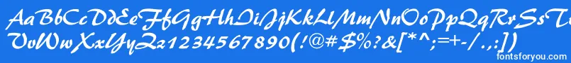 フォントNestorBold – 青い背景に白い文字
