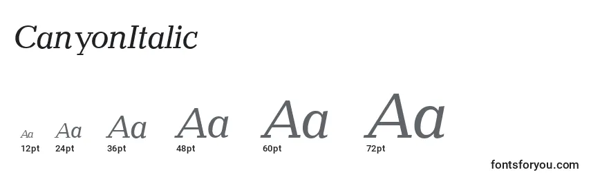 CanyonItalic Font Sizes