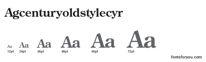 Размеры шрифта Agcenturyoldstylecyr