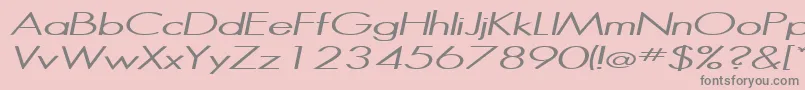 HalibutItalic Font – Gray Fonts on Pink Background