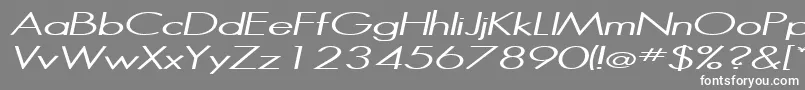 HalibutItalic Font – White Fonts on Gray Background