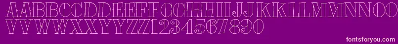 Tat Font – Pink Fonts on Purple Background