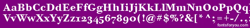 フォントBodoniSixOsItcTtBold – 紫の背景に白い文字