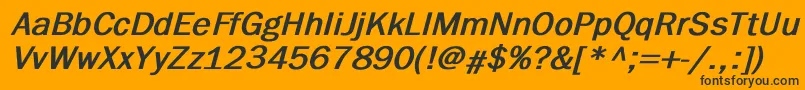 FranklingothicBoldItalic Font – Black Fonts on Orange Background