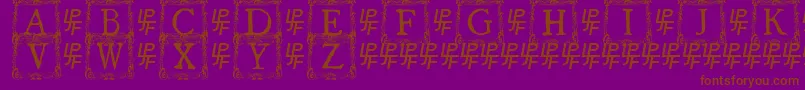QuanauticaleInitialsNo3 Font – Brown Fonts on Purple Background