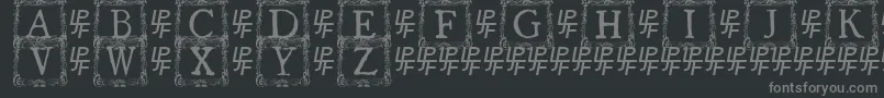 フォントQuanauticaleInitialsNo3 – 黒い背景に灰色の文字