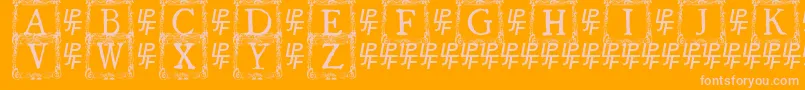 QuanauticaleInitialsNo3 Font – Pink Fonts on Orange Background