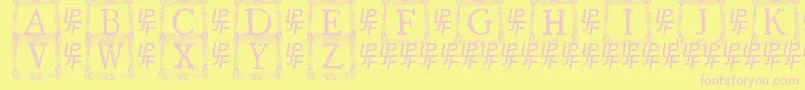 QuanauticaleInitialsNo3 Font – Pink Fonts on Yellow Background