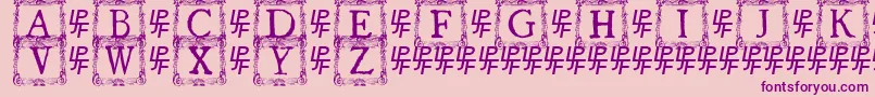 QuanauticaleInitialsNo3 Font – Purple Fonts on Pink Background