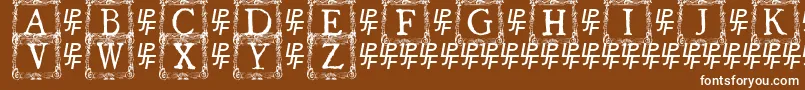 QuanauticaleInitialsNo3 Font – White Fonts on Brown Background