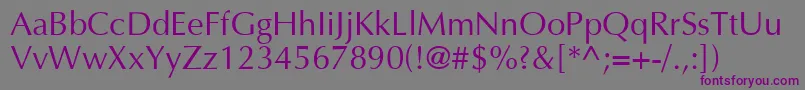 Шрифт AgoptN – фиолетовые шрифты на сером фоне