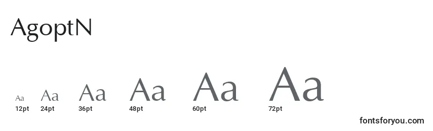 Размеры шрифта AgoptN