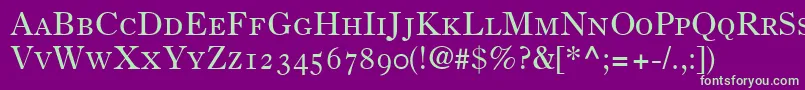 Czcionka PartitionOldstyleSsiSmallCaps – zielone czcionki na fioletowym tle