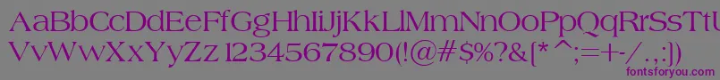 BroadsheetLdo Font – Purple Fonts on Gray Background