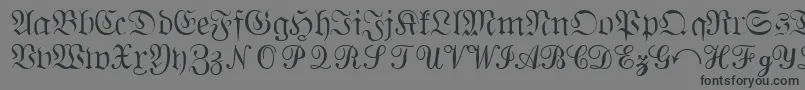 フォントQuantapisixsskRegular – 黒い文字の灰色の背景