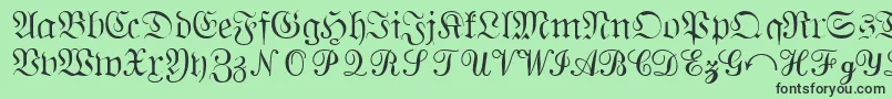 QuantapisixsskRegular Font – Black Fonts on Green Background