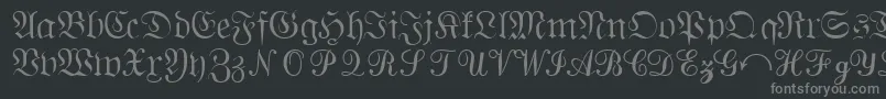 フォントQuantapisixsskRegular – 黒い背景に灰色の文字