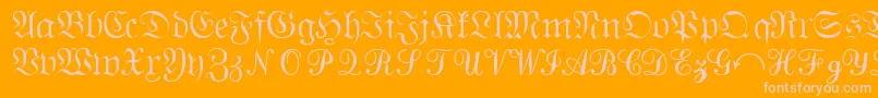 QuantapisixsskRegular-Schriftart – Rosa Schriften auf orangefarbenem Hintergrund