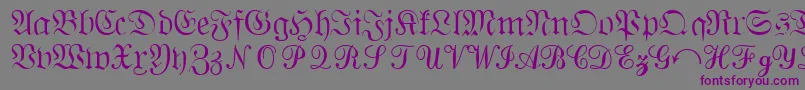 Шрифт QuantapisixsskRegular – фиолетовые шрифты на сером фоне