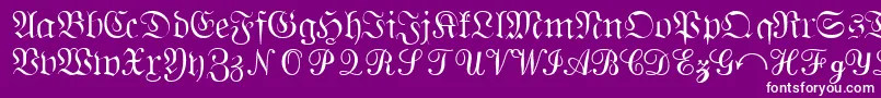 QuantapisixsskRegular Font – White Fonts on Purple Background