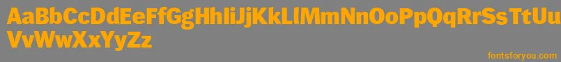 Wendelinreduced85fett Font – Orange Fonts on Gray Background