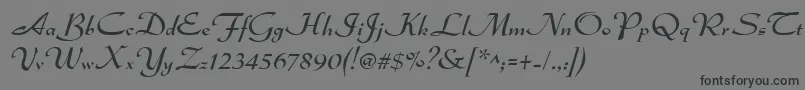 Dsadmiral Font – Black Fonts on Gray Background