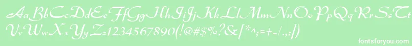 Dsadmiral Font – White Fonts on Green Background