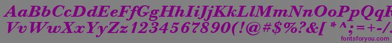BodoniSixItcTtBolditalic Font – Purple Fonts on Gray Background