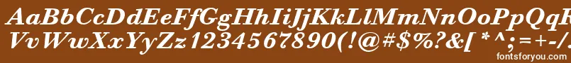 BodoniSixItcTtBolditalic Font – White Fonts on Brown Background