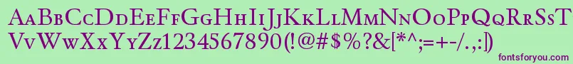 WinthorpescRegular Font – Purple Fonts on Green Background