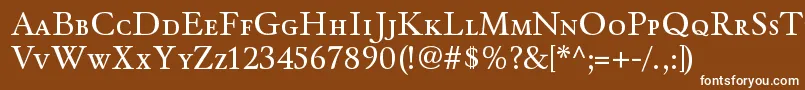 WinthorpescRegular Font – White Fonts on Brown Background