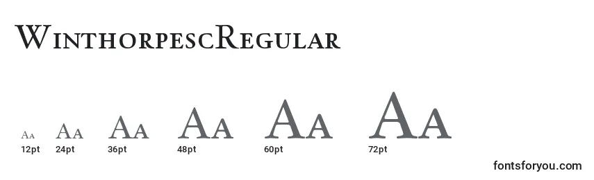 WinthorpescRegular Font Sizes